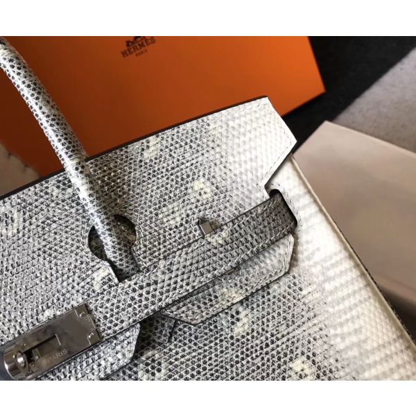 Hermes Birkin 25cm Bag In Ombre Embossed Natural Lizard - Image 4