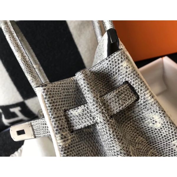 Hermes Birkin 25cm Bag In Ombre Embossed Natural Lizard - Image 5