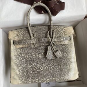 Hermes Birkin 25 Retourne Handmade Bag In Ombre Lizard Leather