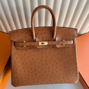 Hermes Birkin 25 Retourne Handmade Bag in Gold Ostrich Leather