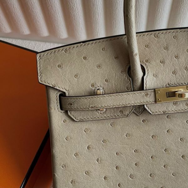 Hermes Birkin 25 Retourne Handmade Bag In Trench Ostrich Leather - Image 2
