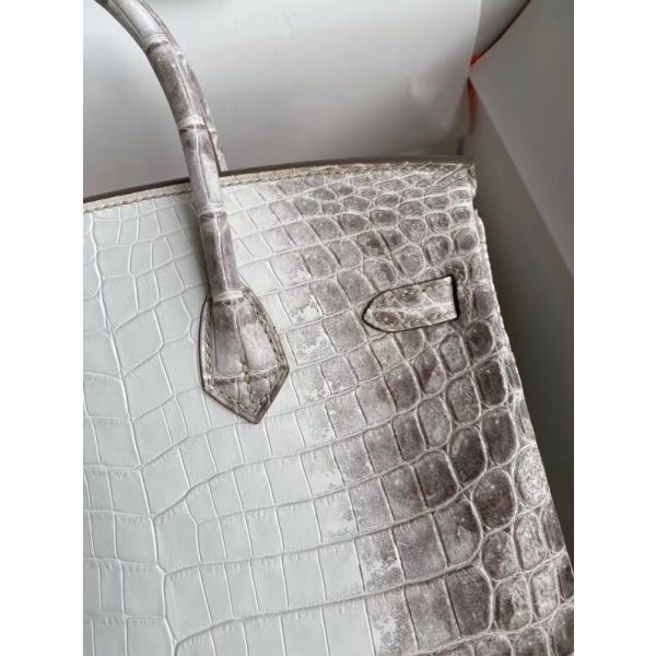 Hermes Diamond Birkin 25cm In Himalaya Niloticus Crocodile Skin - Image 4